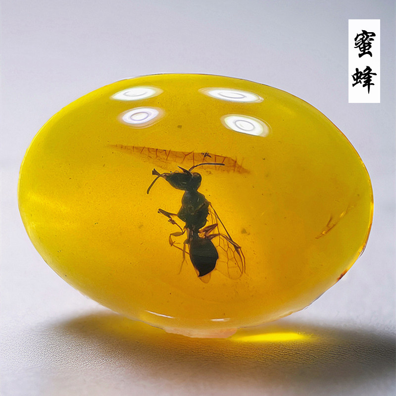 新款缅甸琥珀纯天然蜜蜂虫珀蚂蚁蜘蛛吊坠动物昆虫化石标本真品