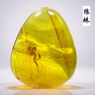 原矿纯天然缅甸虫珀蜘蛛蚂蚁琥珀蜜蜡白垩纪昆虫化石标本吊坠项链