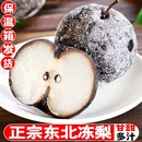 包邮 东北特产冻梨延边正宗苹果梨冰水果细腻无渣火锅烤肉应季 商用