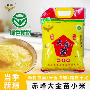 内蒙古赤峰大金苗黄小米5斤当季新小米口感软糯米油厚营养价值高