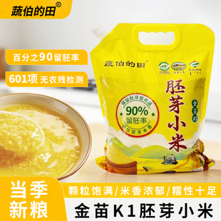 新小米金苗k1胚芽黄小米5斤小米煮粥软糯油丰厚月子米首选