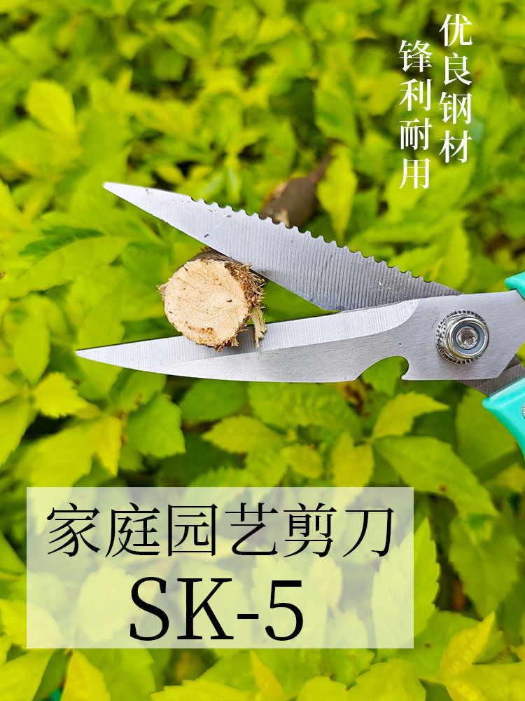 장 XIAOQUAN 원예 가위 가정용 꽃집 포도 야채 및 과일 가위 정원 꽃 가위 가정용 강력한 가위