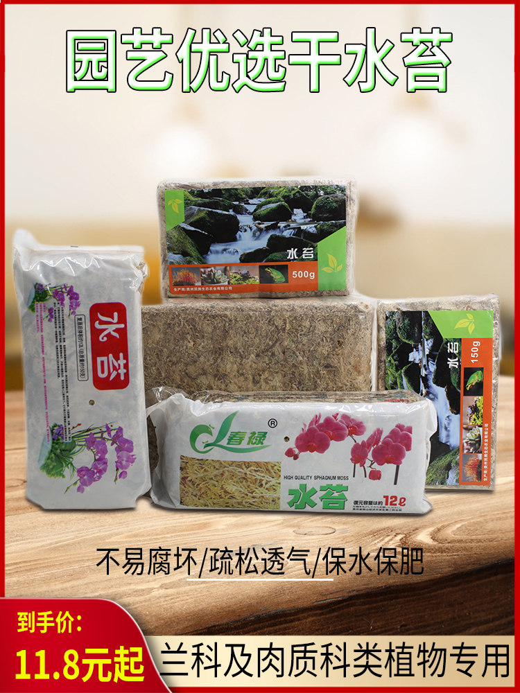 智利水苔兰花专用植料春禄干水苔石斛蝴蝶兰水草育苗乌龟垫材进口