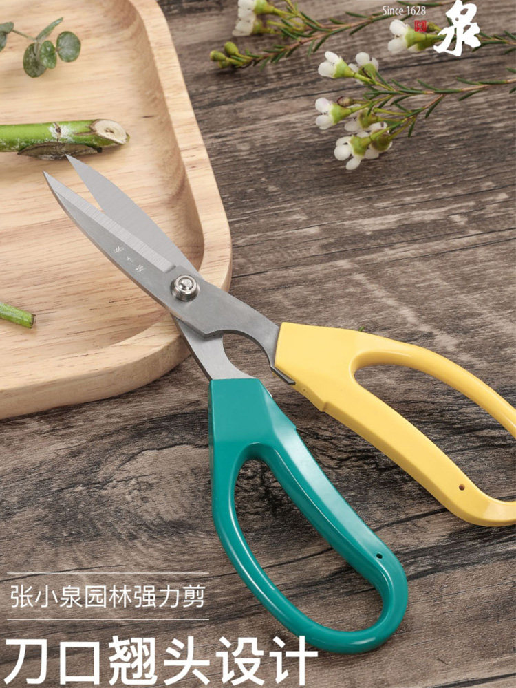 장 XIAOQUAN 원예 가위 가정용 꽃집 포도 야채 및 과일 가위 정원 꽃 가위 가정용 강력한 가위