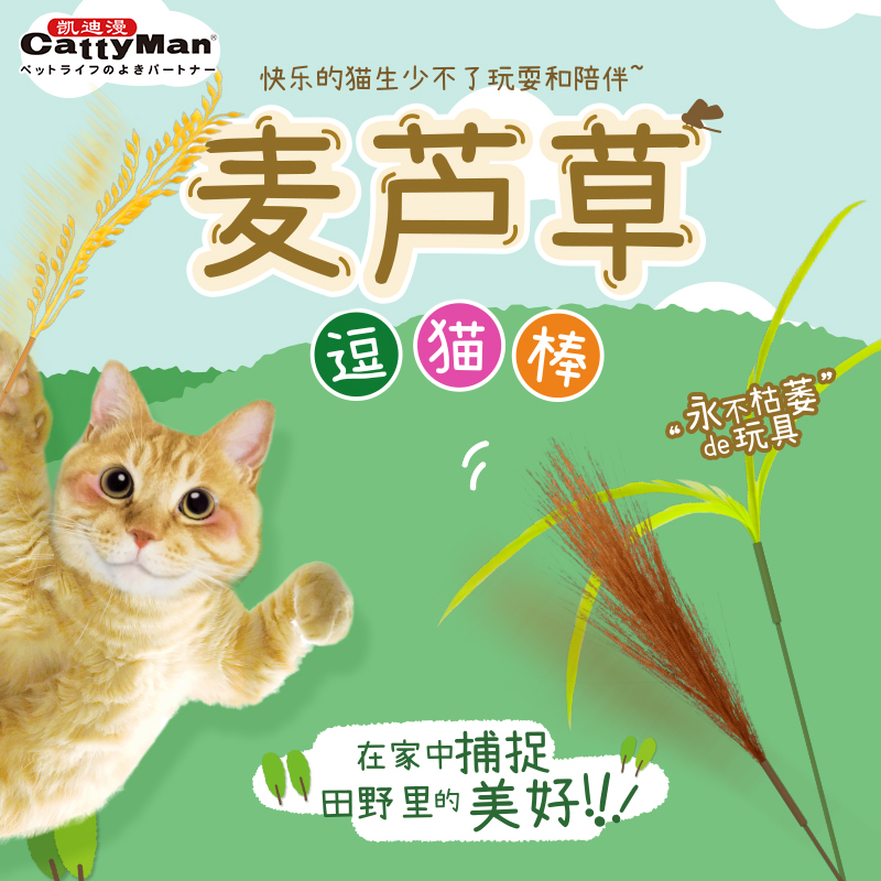 DoggyMan多格漫猫玩具麦芦草逗猫棒猫咪玩具 宠物/宠物食品及用品 逗猫棒 原图主图