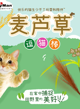 DoggyMan多格漫猫玩具麦芦草逗猫棒猫咪玩具