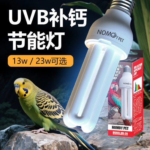 仿太阳光鹦鹉文鸟水龟豹纹守宫灯