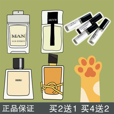 大王破晓之际卡萨布兰卡百合小样