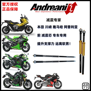 Andreani安德烈尼 XADV 750 ZX6R ZX4R 改装避震器 减震器 前叉