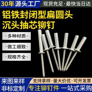 亿隆铆钉铝铁封闭型扁圆头沉头抽芯铆钉4 10防水拉铆钉 3.2
