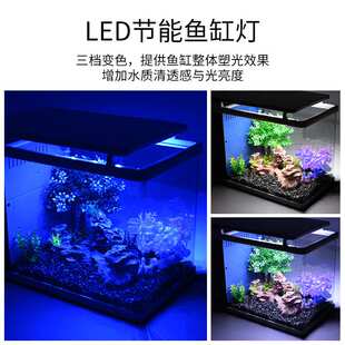 鱼缸水族箱侧过滤生态鱼缸高清玻璃热弯创意鱼缸迷你小型客厅鱼缸