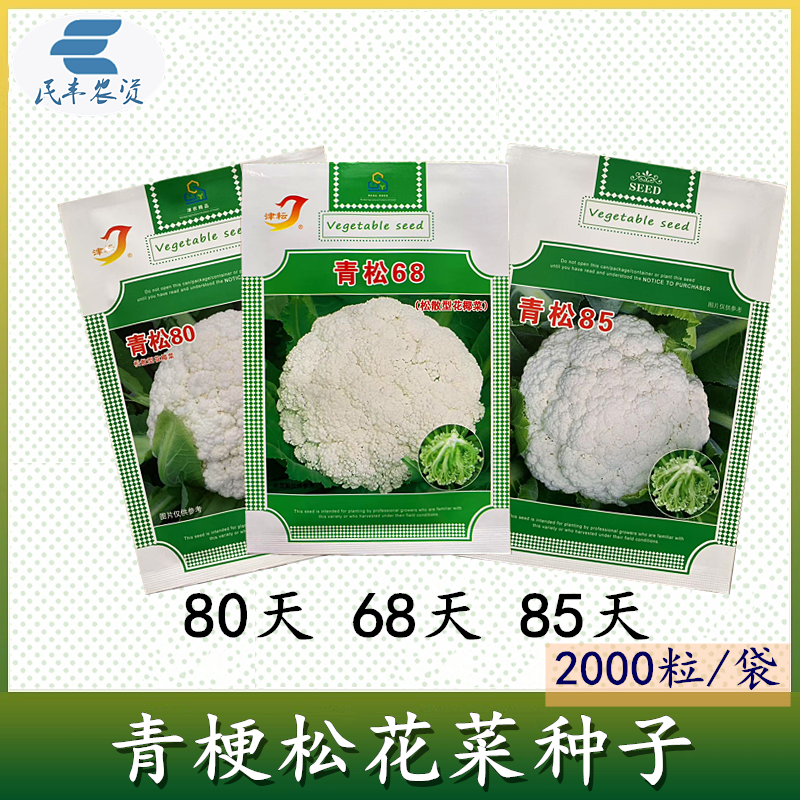 耕耘青松556068天青梗松花菜种子