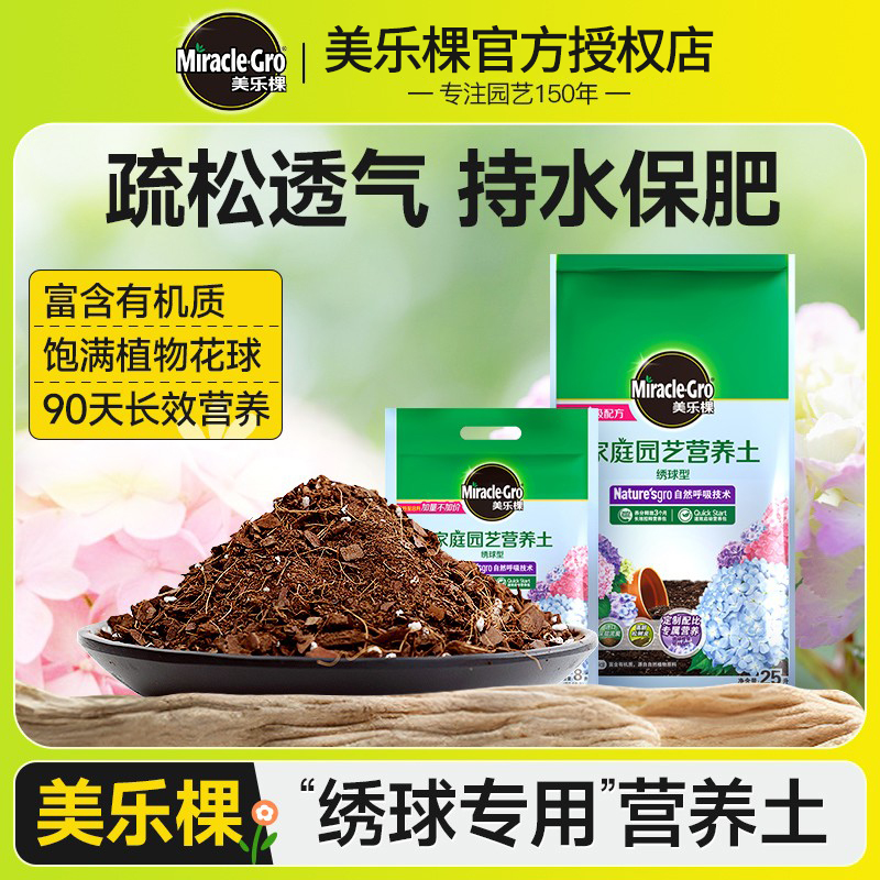 美乐棵绣球花专用营养土中华欧洲木圆锥绣球盆栽无尽夏落跑新娘