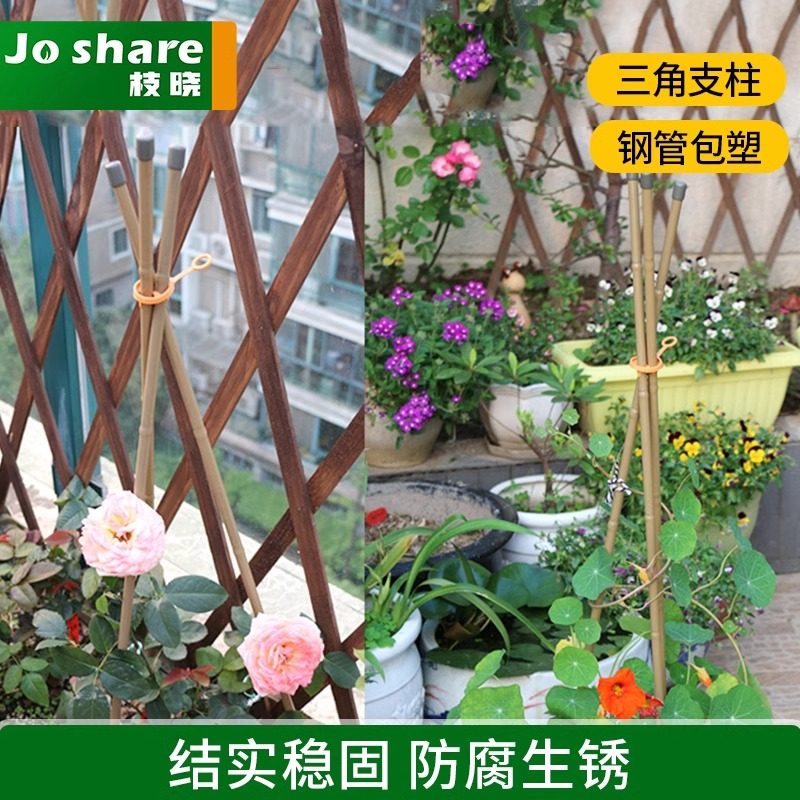 枝晓 三角支柱 盆栽固定藤蔓爬藤架花盆支架园艺包塑钢管攀爬支架