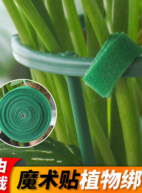 园艺绿植魔术贴扎线自粘植物绑带爬藤植物固定线绿色捆绑线