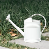 瑞普加厚大容量家用浇水壶淋花壶洒水壶浇水神器喷壶长嘴壶浇花壶