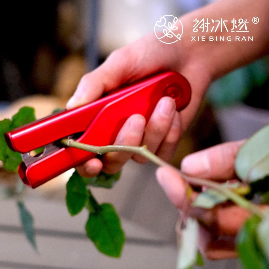 玫瑰花打刺钳子去刺宝修花剪刺剪刀拔除刺夹子剔刺叶神器花艺工具