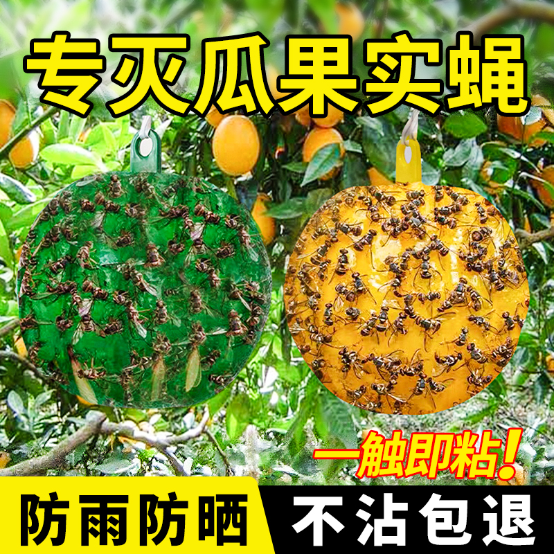 诱蝇球柑橘大实蝇诱捕球