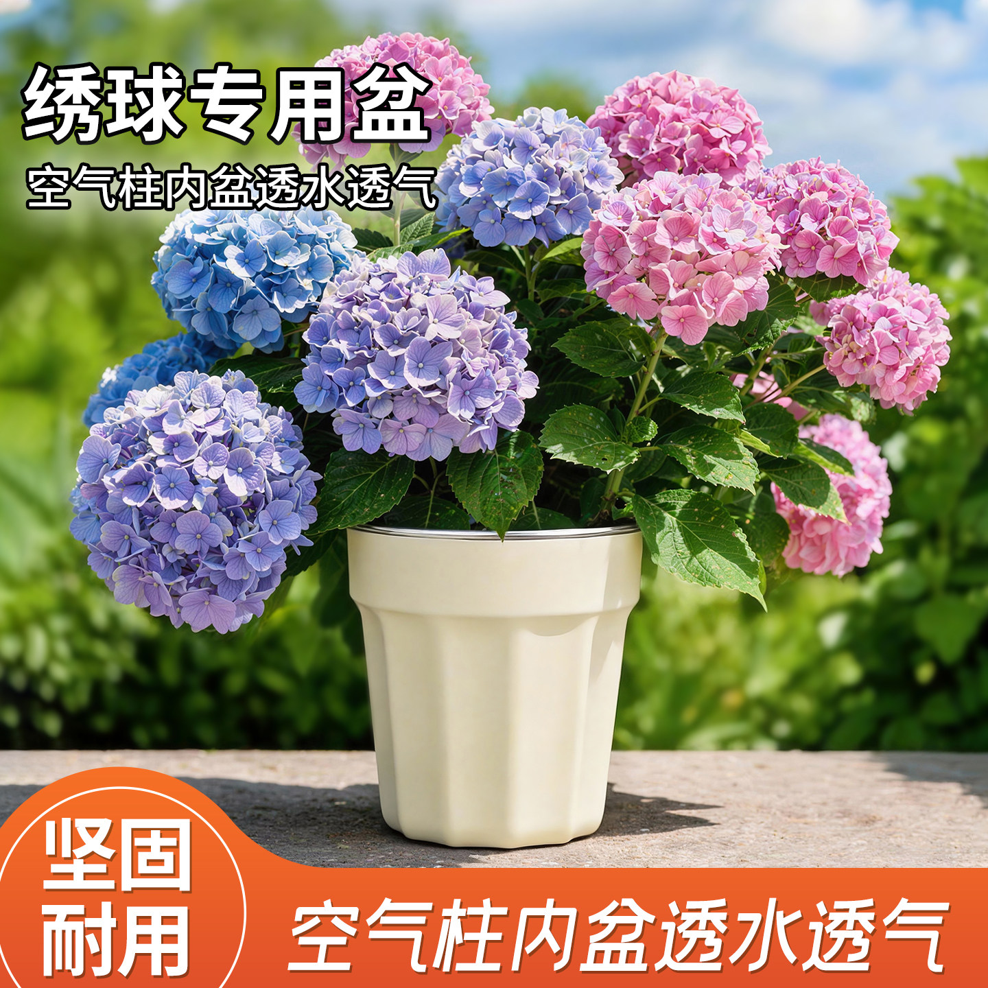 网红懒人自吸水花盆塑料树脂龟背竹绣球热植专用水培器皿套盆