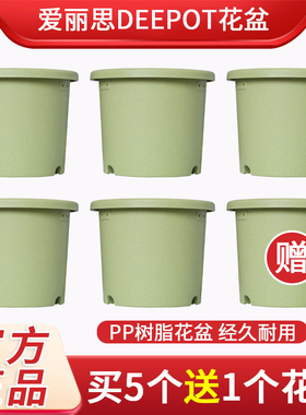 爱丽思Deepot盆栽家用青山树脂加仑盆月季绣球多肉爱丽丝塑料花盆