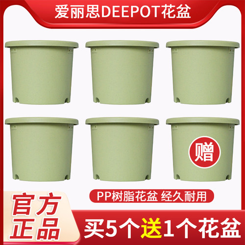 爱丽思Deepot盆栽家用青山树脂加仑盆月季绣球多肉爱丽丝塑料花盆