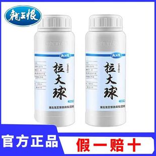 龙王恨拉大球拉丝粉钓鱼专用小麦蛋白鱼饵拉个球黑坑野钓鲫鱼拉饵