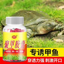 甲鱼诱饵诱食剂小药正品饵料聚甲胶囊黑鱼鲶鱼类窝料专用野钓黑坑