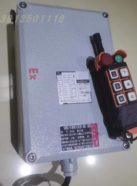 TELECRANE禹鼎BF24-E1 EX防爆电动葫芦起重机行车天车无线遥控器