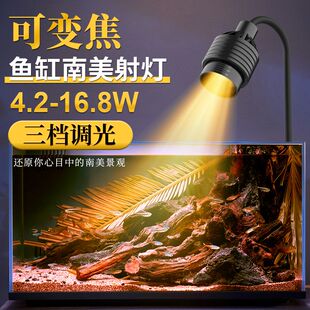 鱼缸灯变焦灯南美射灯原生溪流缸水族观赏灯照明led防溅水水草灯