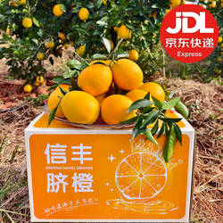 京东包邮新鲜水果正宗赣南信丰脐橙甜橙子赣州特产地直发送礼整箱