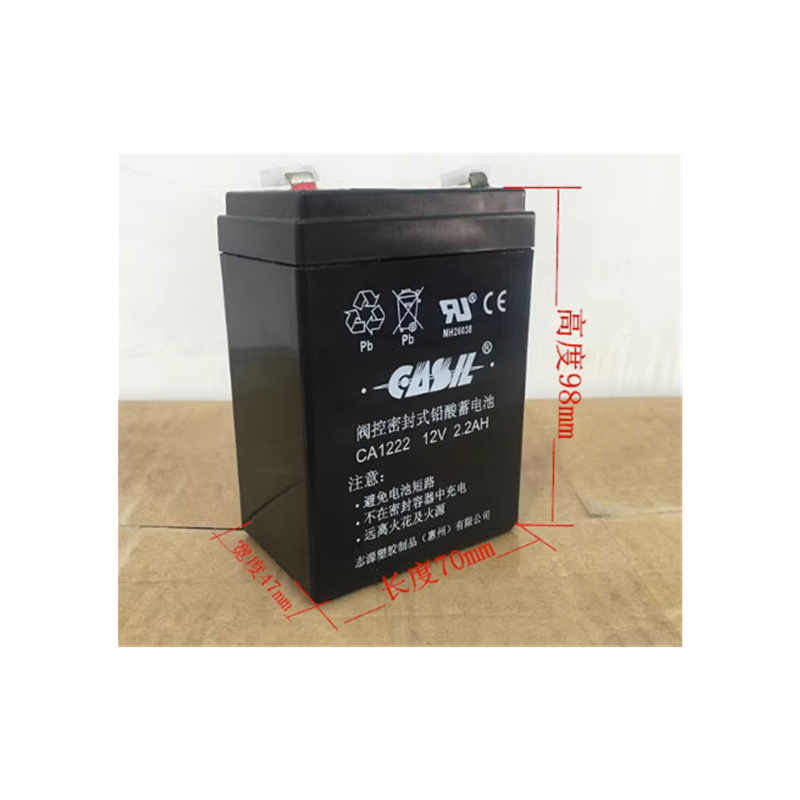CASIL铅酸蓄电池免维护