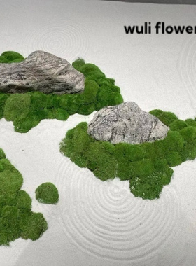 永生苔藓造景景观  新中式禅意仿真草坪植物景观绿色场景橱窗展示