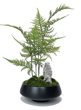 现代新中式仿真永生苔藓花艺套装售楼部会所洽谈桌茶几软装摆件