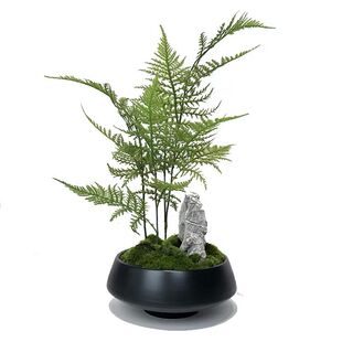 摆件 售楼部会所洽谈桌茶几软装 现代新中式 仿真永生苔藓花艺套装