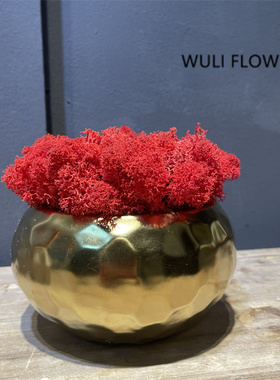 新中式红色插花永生苔藓  设计师款售楼部样板间家居茶几书柜摆件