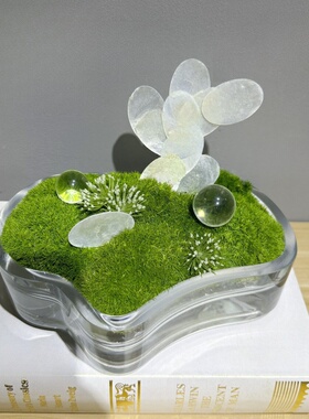 永生苔藓植物盆景   样板间花艺  客厅茶几装饰架台面摆件