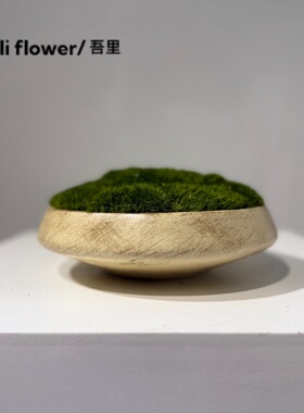 复古果盘木碗苔藓微景观造景仿真绿植盆栽摆件办公桌茶几摆件