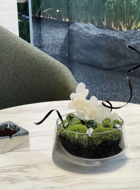永生苔藓仿真苔藓盆景  售楼部样板间洽谈桌茶几台面软装饰品花艺