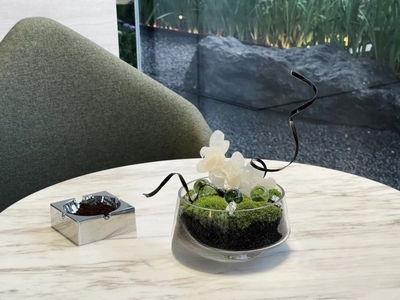 永生苔藓仿真花盆景软装饰品