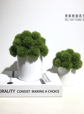 简约现代绿色小盆栽   设计师款店面装饰柜桌面台面植物摆件