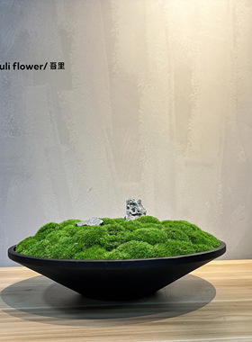 不要养护永生苔藓上海