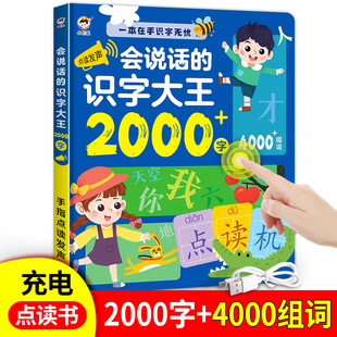 小儒童厂家批发会说话的识字大王2000有声早教点读书儿童发声书