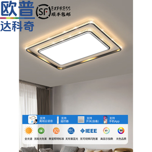 欧普达科奇客厅灯现代简约大气吸顶灯卧室灯新款中山灯具全屋套餐