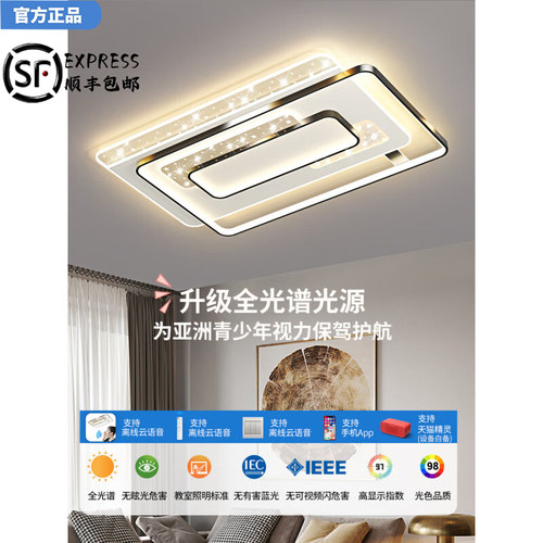 欧普达科奇现代简约客厅吸顶灯