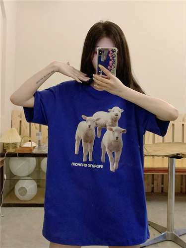 佳蕙大码女装 77JZDMNZ9001