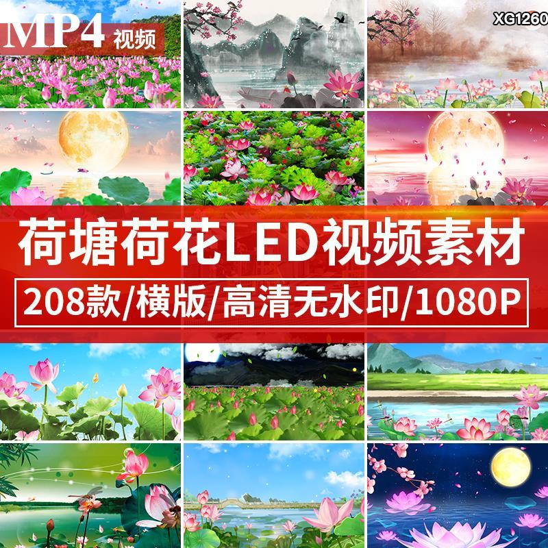 水墨山水荷花莲圆月中国风荷塘月色唯美演出舞台LED背景视频素材