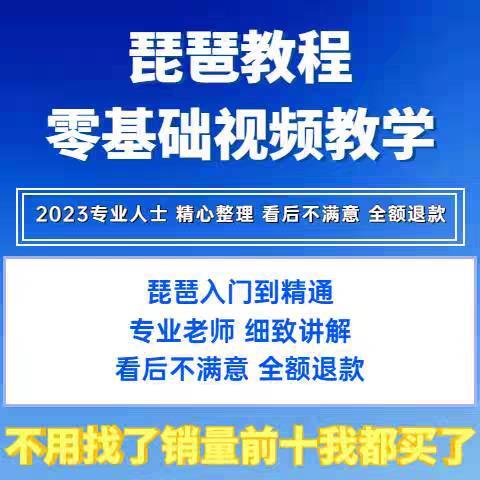 琵琶教学视频教程零基础初学入门自学琵琶入门到精通琵琶在线课程