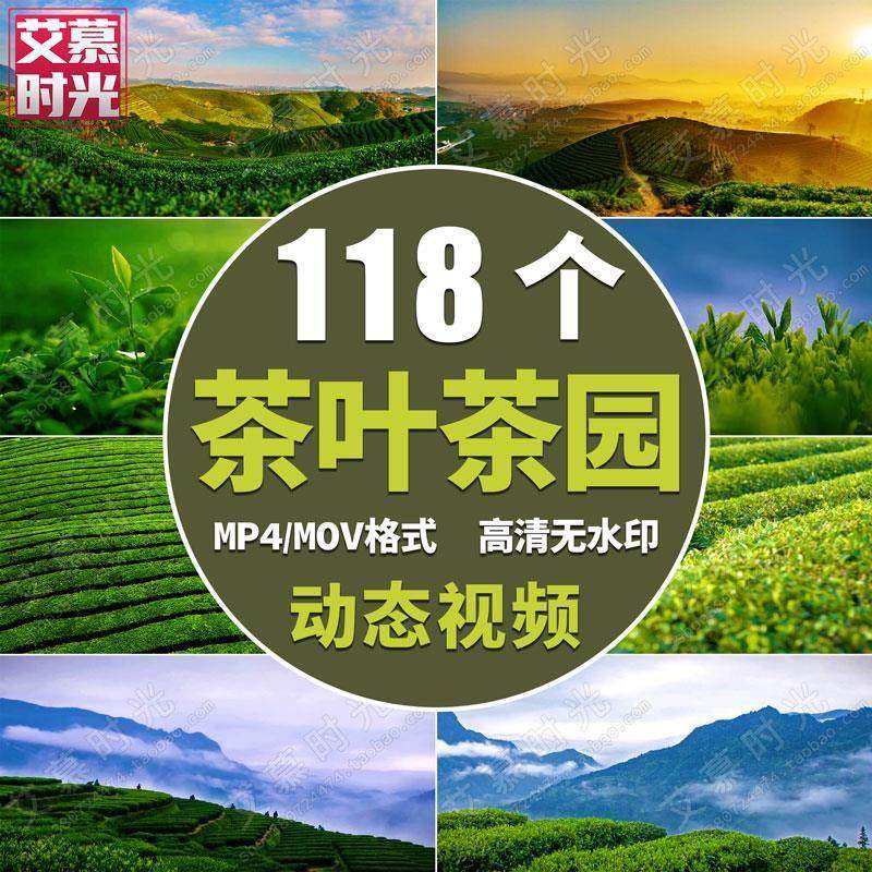 茶叶绿色茶园采茶风景实拍抖音快手 茶文化茶艺表演led屏视频素材,商务/设计服务,设计素材/源文件,淘宝优惠券,粉丝福利购,淘宝优惠卷