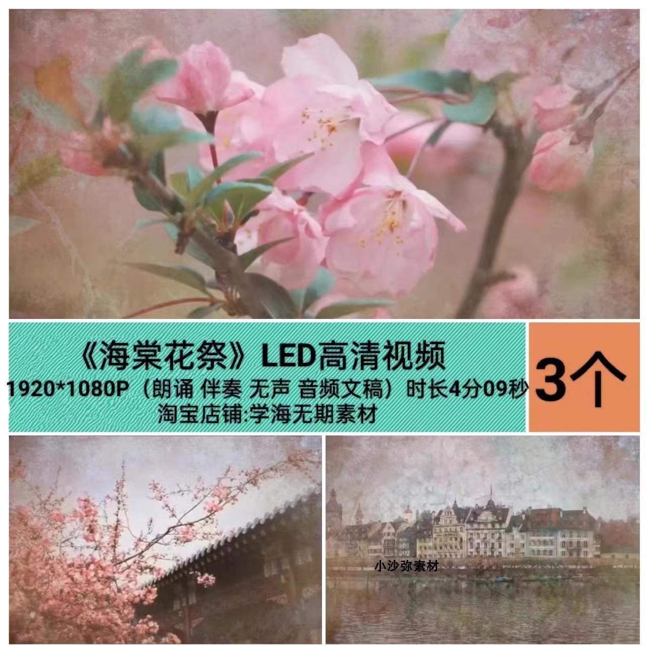 海棠花祭爱国诗歌校园舞台朗诵伴奏配乐 LED大屏高清背景视频素材