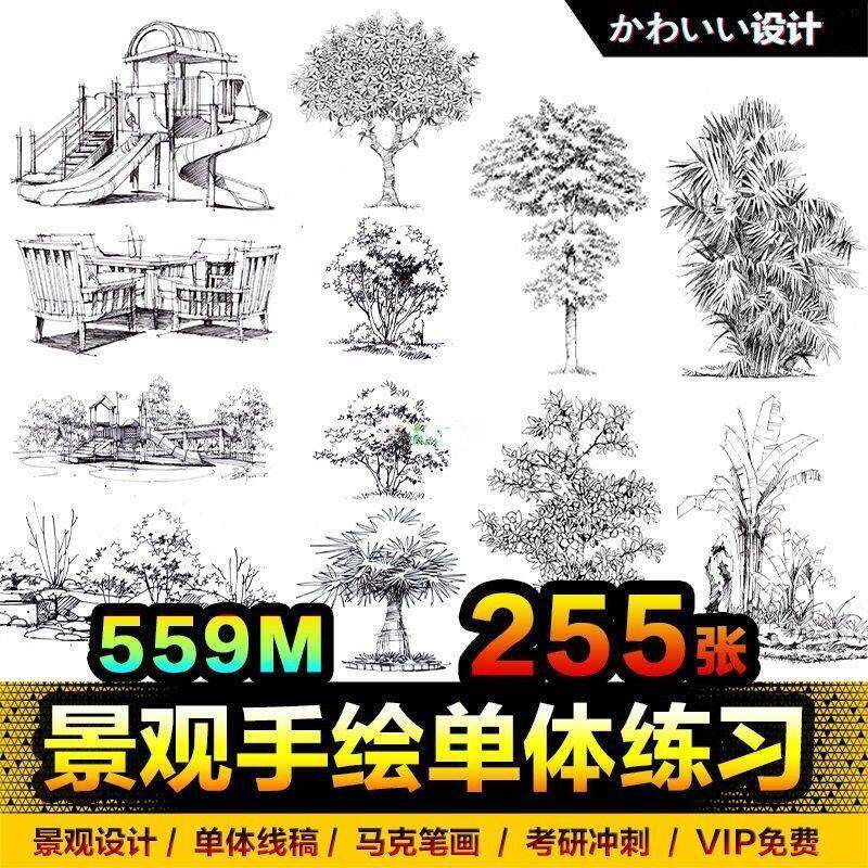 园林景观单体植物手绘速写树木花草小景钢笔画马克笔临摹图片素材